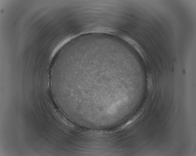 X0000087411069200705181352