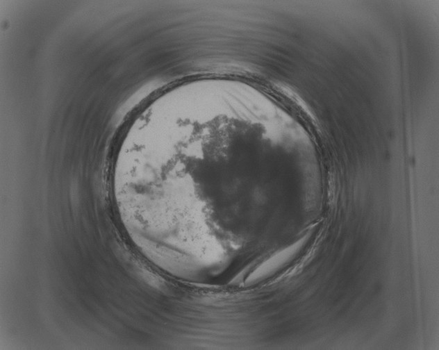 X0000087411071200705181352