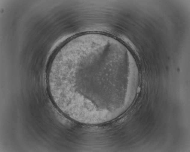 X0000087411072200705181352