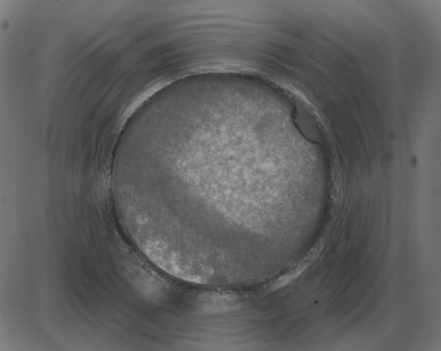 X0000087411073200705181352