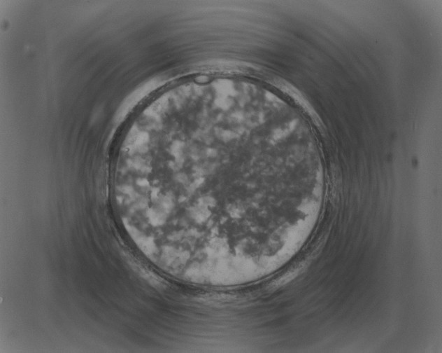 X0000087411075200705181352