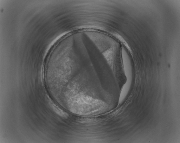 X0000087411076200705181351