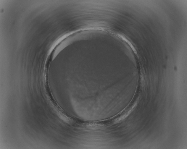 X0000087411077200705181351