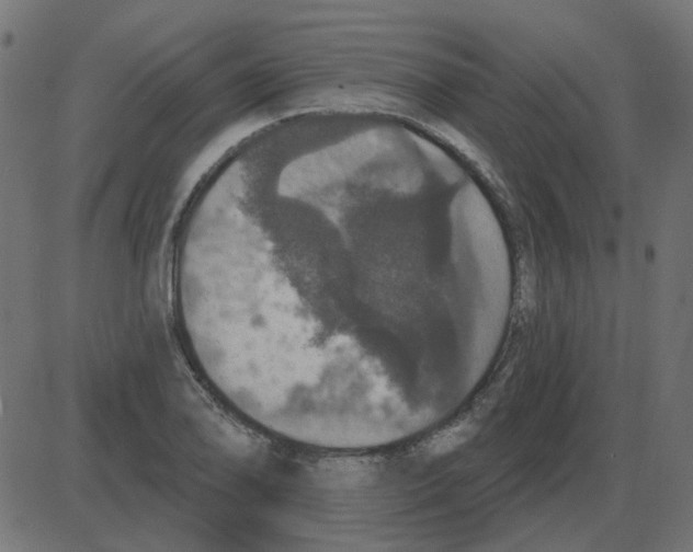 X0000087411078200705181351