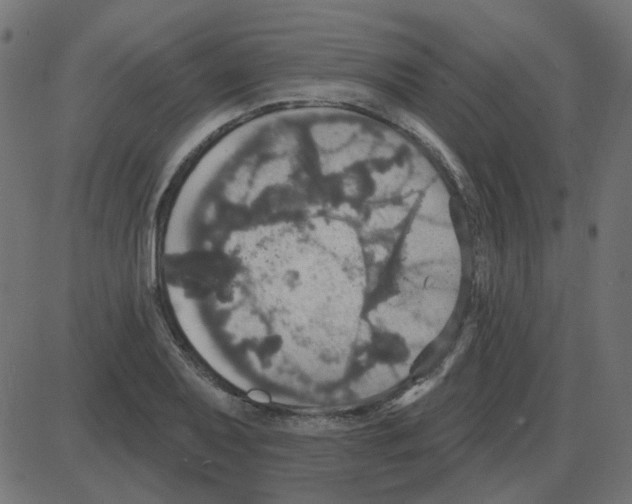 X0000087411079200705181351