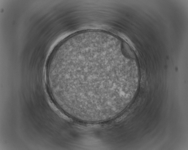 X0000087411080200705181351