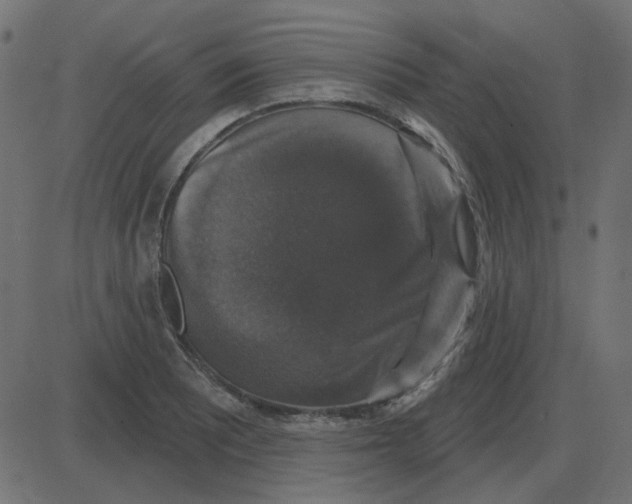 X0000087411081200705181351