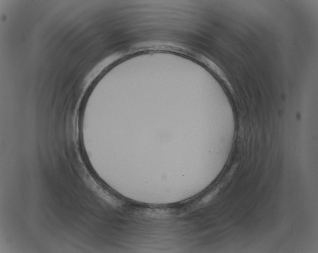 X0000087411082200705181351