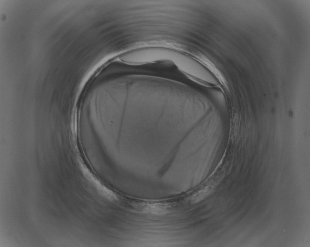 X0000087411084200705181351