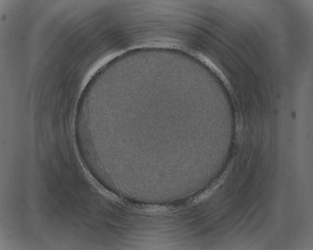 X0000087411085200705181351