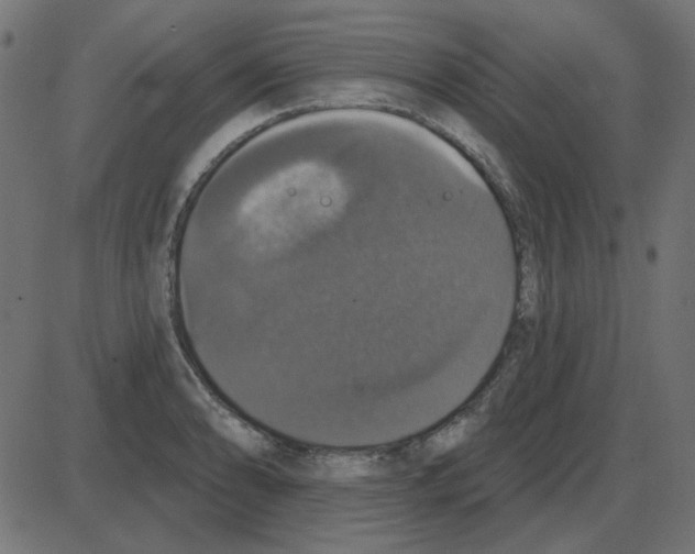 X0000087411086200705181351