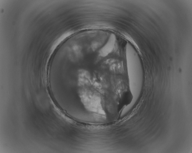 X0000087411087200705181351