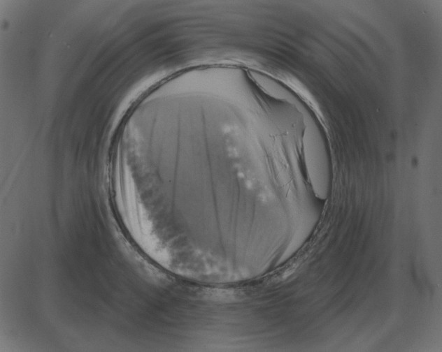 X0000087411088200705181351