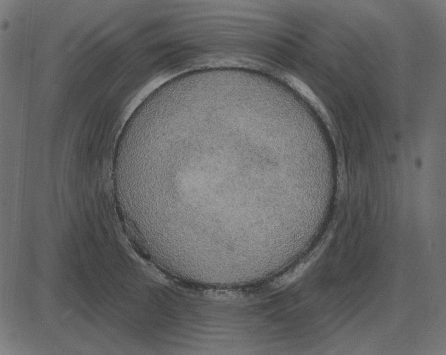 X0000087411089200705181351