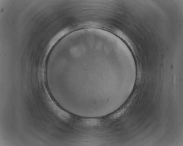 X0000087411090200705181351