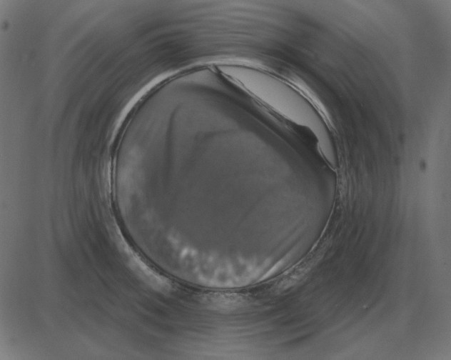 X0000087411092200705181351