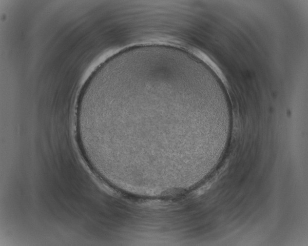 X0000087411093200705181351