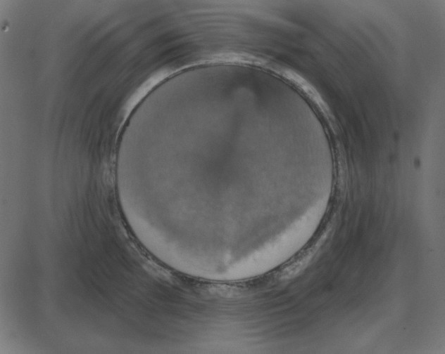 X0000087411097200705181351