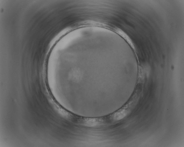 X0000087411098200705181351