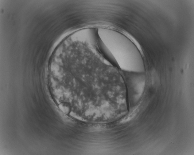 X0000087411099200705181351