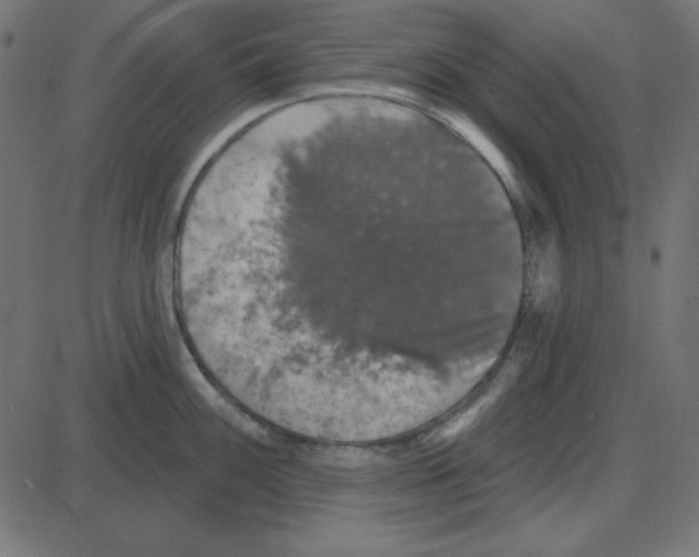 X0000087411100200705181351