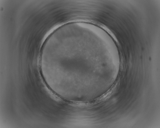 X0000087411101200705181351