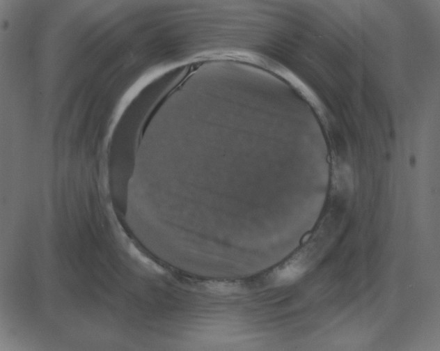 X0000087411102200705181351