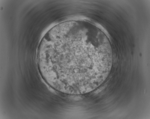 X0000087411103200705181351