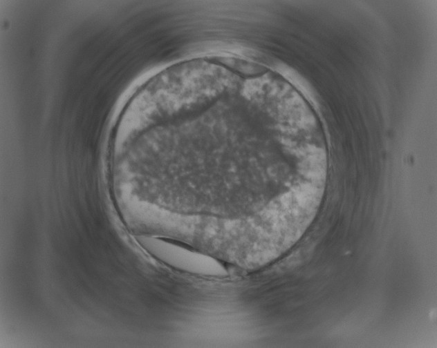 X0000087411104200705181351