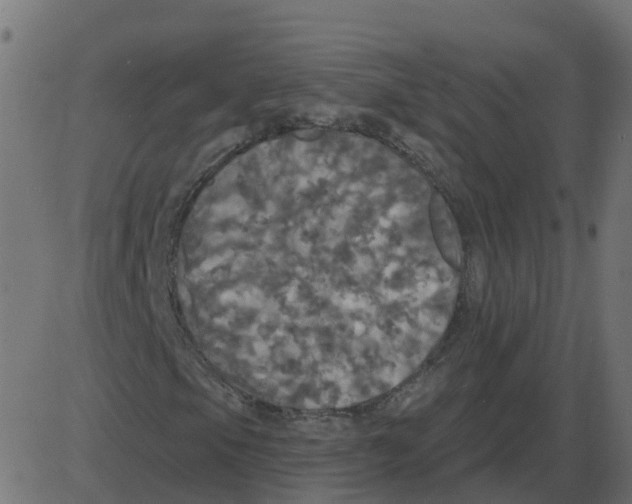 X0000087411105200705181350