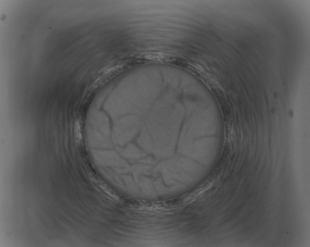 X0000087411106200705181350