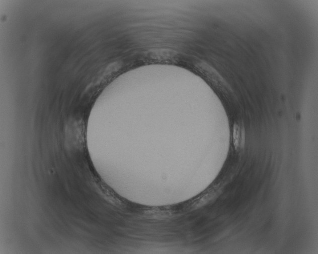 X0000087411107200705181350