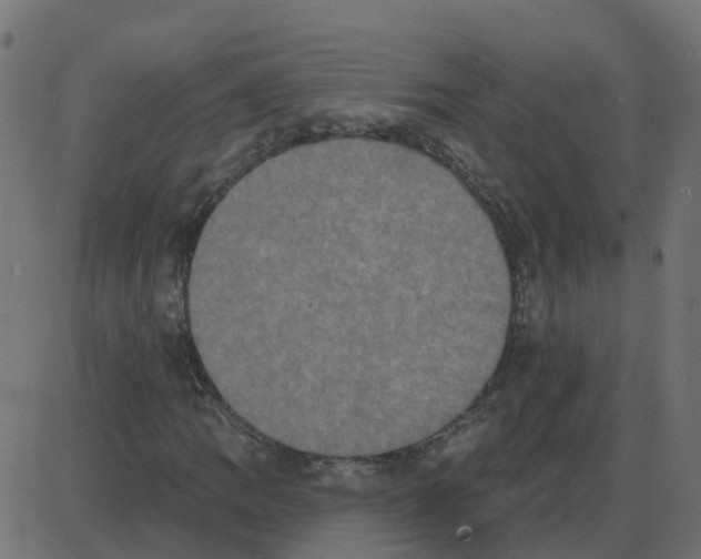 X0000087411109200705181350