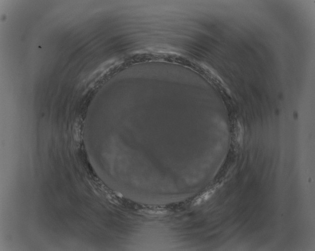 X0000087411110200705181350