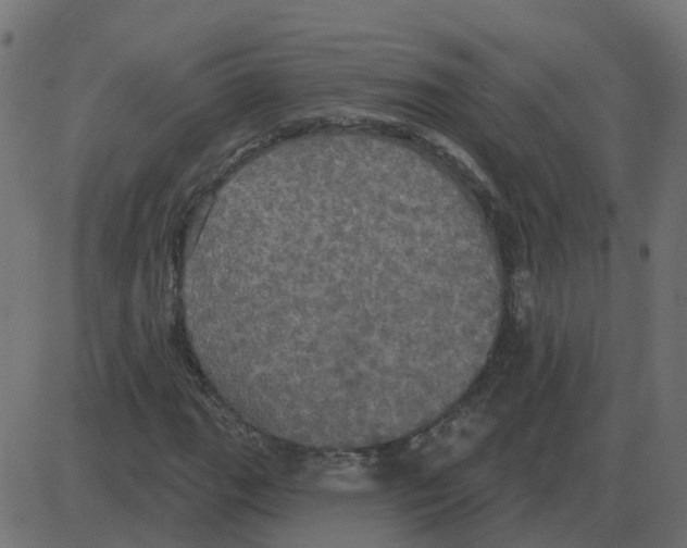 X0000087411111200705181350