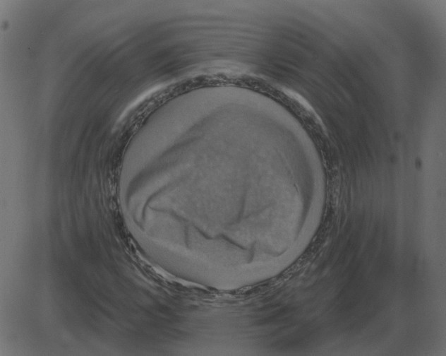 X0000087411112200705181350