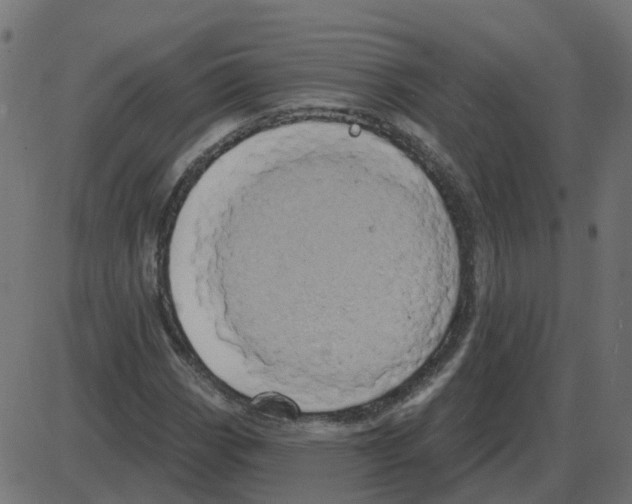 X0000087411113200705181350