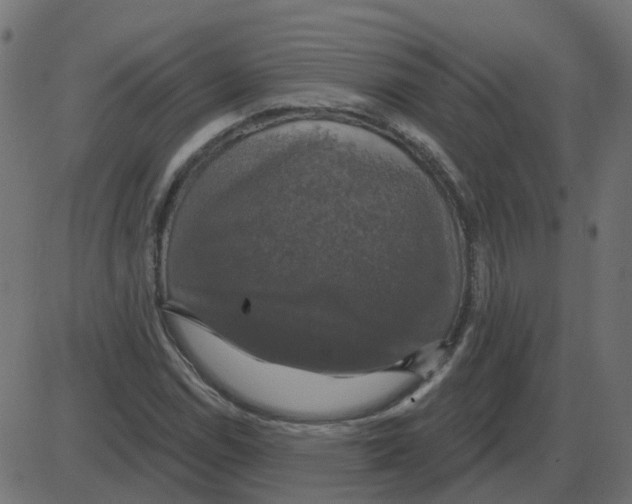 X0000087411114200705181350