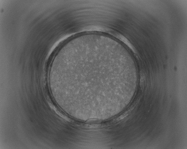 X0000087411116200705181350