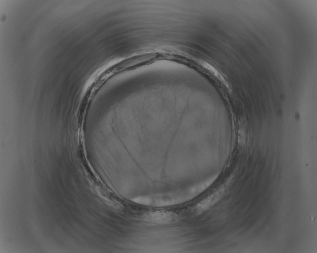 X0000087411117200705181350