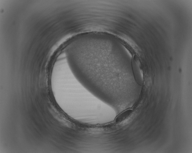 X0000087411118200705181350