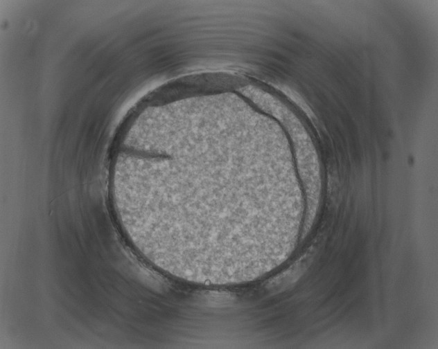 X0000087411119200705181350