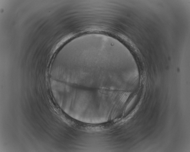 X0000087411121200705181351