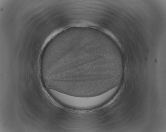 X0000087411122200705181351