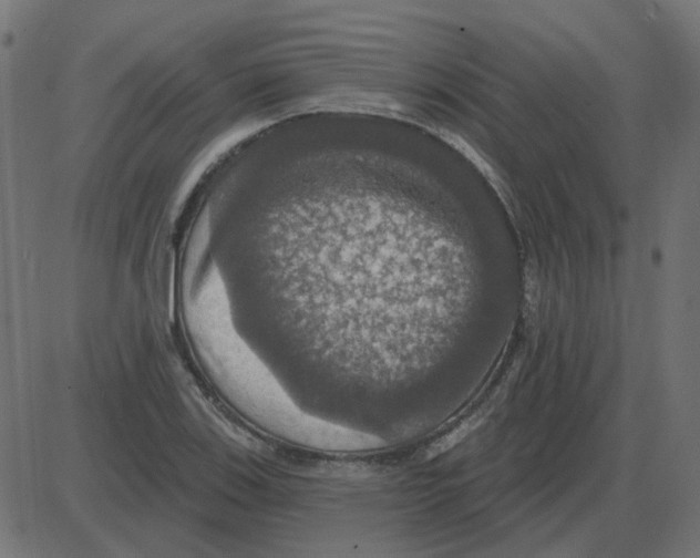 X0000087411123200705181351