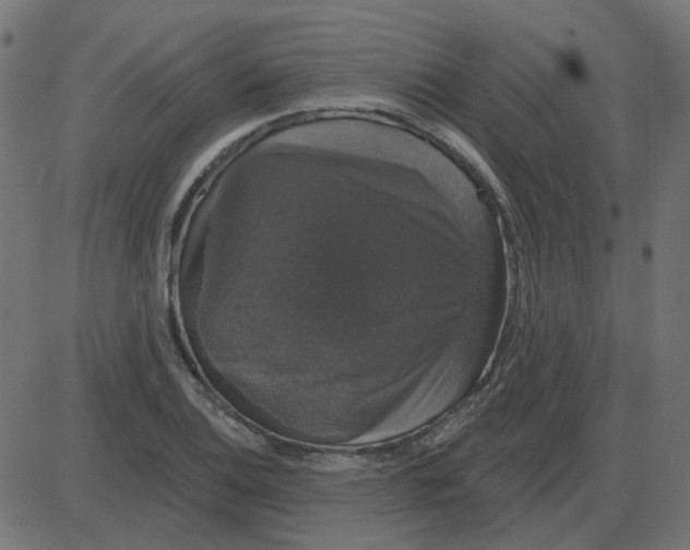 X0000087411124200705181351