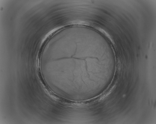 X0000087411125200705181351