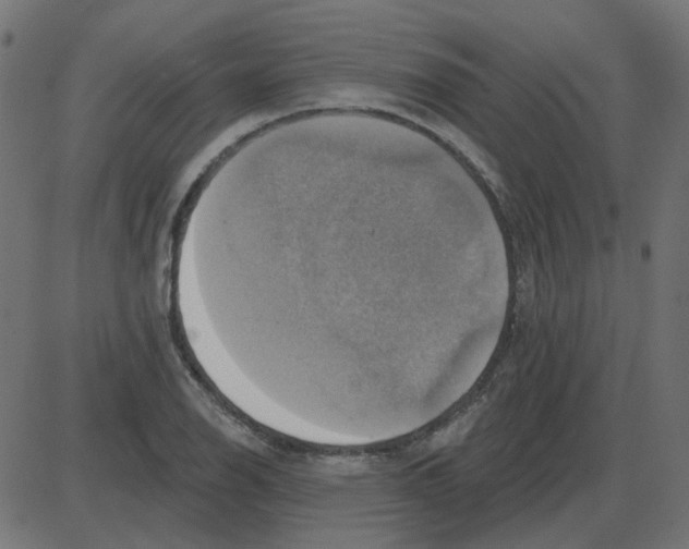 X0000087411126200705181351