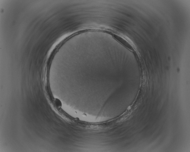 X0000087411128200705181351