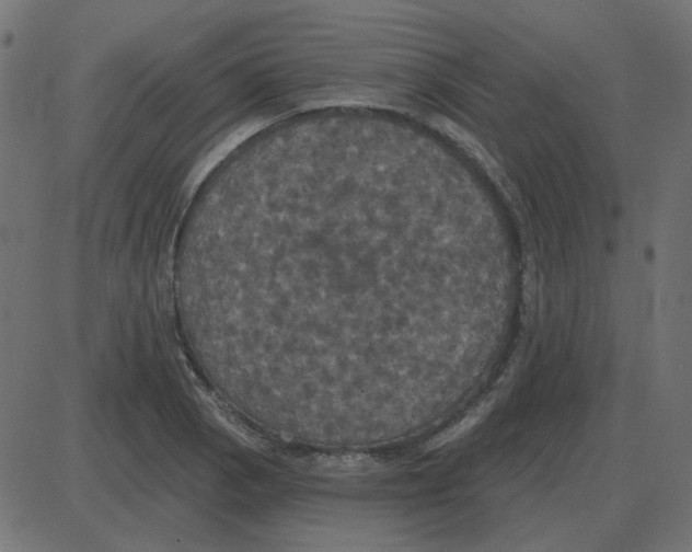 X0000087411129200705181351